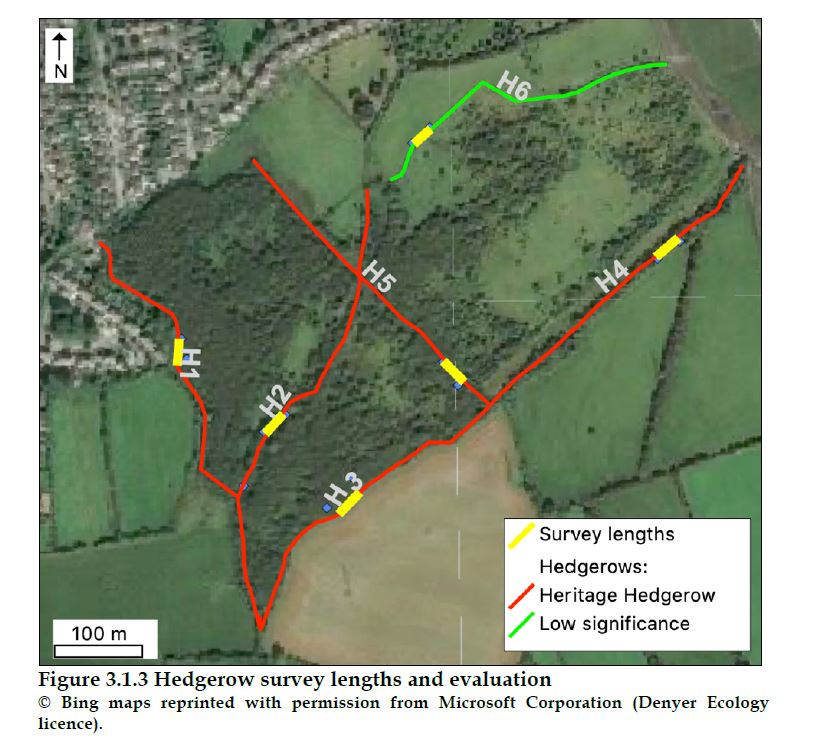 The Heritage Hedgerows of Rathcoole Woodlands